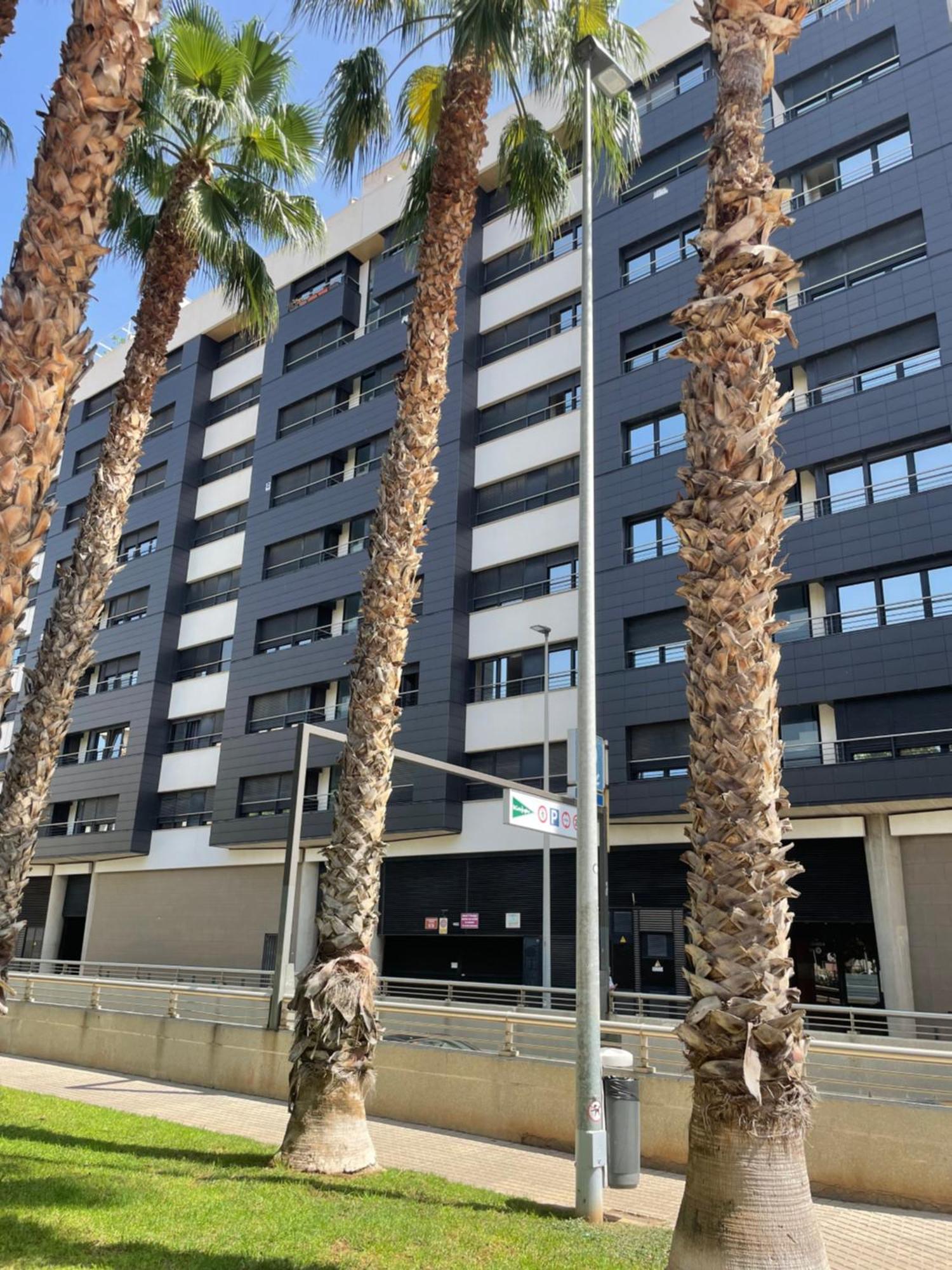 Apartamento Parque Real 卡斯特利翁-德拉普拉纳 外观 照片